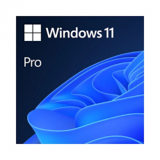 Phần mềm Microsoft Win Pro 11 64-bit All Lng PK Lic Online DwnLd NR 