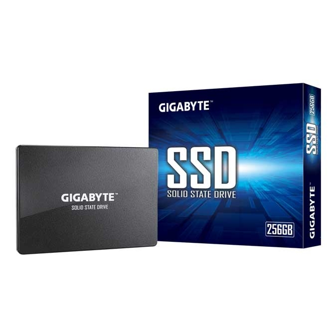 SSD Gigabyte 256GB GP-GSTFS31256GTND