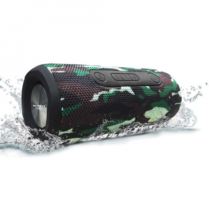 Loa SoundMax di động R-800